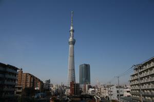 大人の修学旅行 in TOKYOの画像